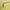 Bone Chest Of 3 Drawer Flower Design Yellow 4