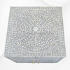 Bone Inlay Scroll Vine 2 Door Cabinet Grey 5