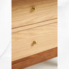 Fern Bookcase Brown 5