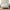 Hand-carved Lombok Bed Natural White | Wood Carved Bed Natural Frame
