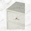 Scroll Vine Bone Inlay Entryway Cabinet Grey 4